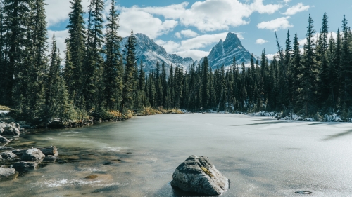 Frozen Lake and Forest in Jasper National Park of Canada