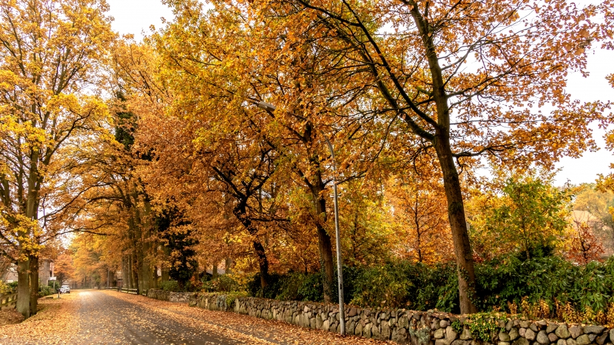 Germany Autumn Roads Brocken Station Lower Saxony