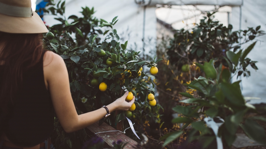 Girl in Black Tank Top Holding Yellow Round Fruits