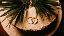 Golden Rings on Green Plant