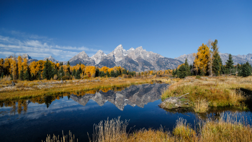 Grand Teton National Park Beautiful River