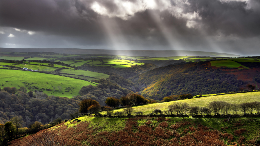 Green Fields and Forest in Valley