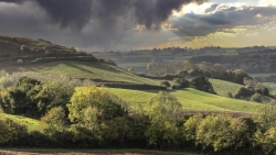 Green Fields and Trees