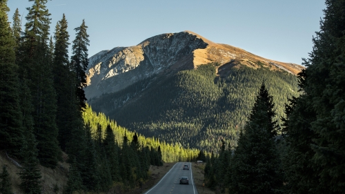 Himachal pradesh green forest and road