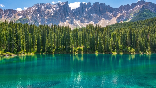 Karersee Lake Green Pine Forest and Mountains