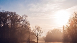 Lake and Sunlight