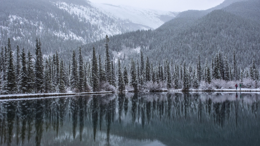 Lake in Forest and Snowy Mountains