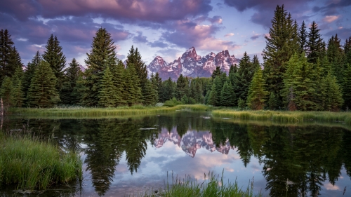 Lake with Reflection and Green Forest