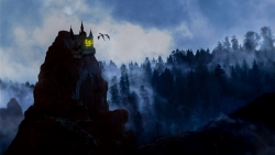 Light in Castle on Hill and Dark Forest