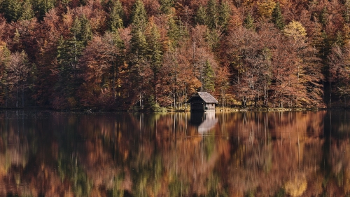 Lone House on Shore and Reflection in Water