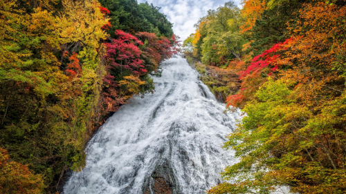 Long Waterfall Between Colorful Trees