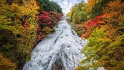 Long Waterfall Between Colorful Trees