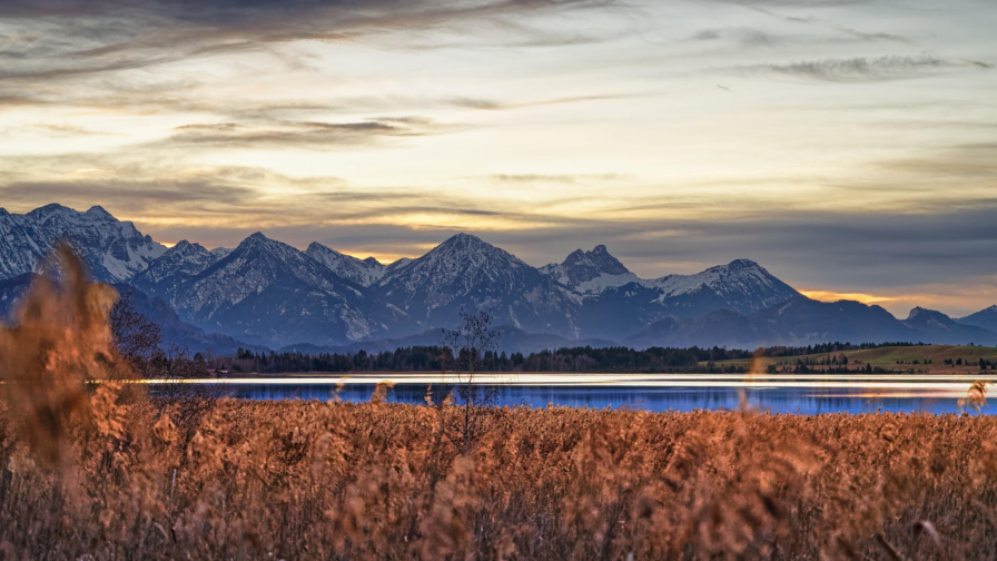 Meadow and Mountains with River