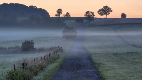 Mist on Field and Road