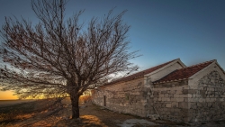 Morning sunshine breathtaking single tree and house