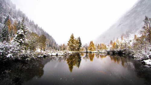 Mountain Valley Trees and Lake