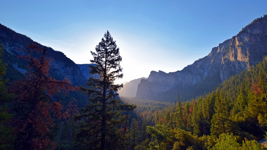 Mountainous landforms leaf wilderness park Yosemite