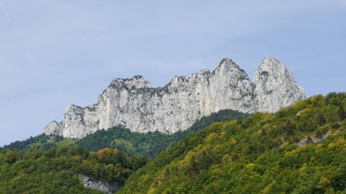 Mountains and Green Forest Around