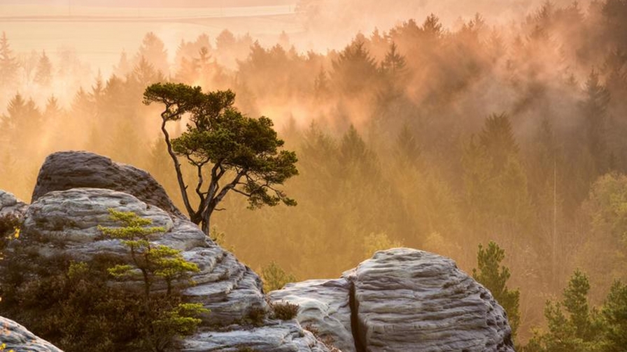 Mountains and Orange Fog