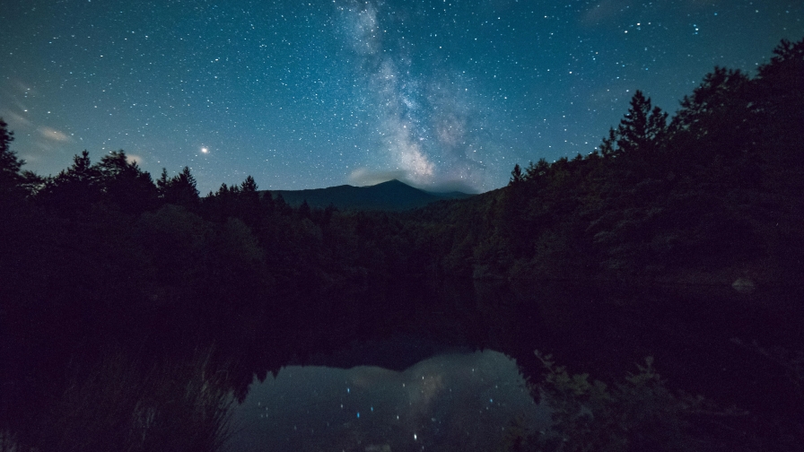 Night landscape lake forest and stars