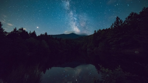 Night landscape lake forest and stars