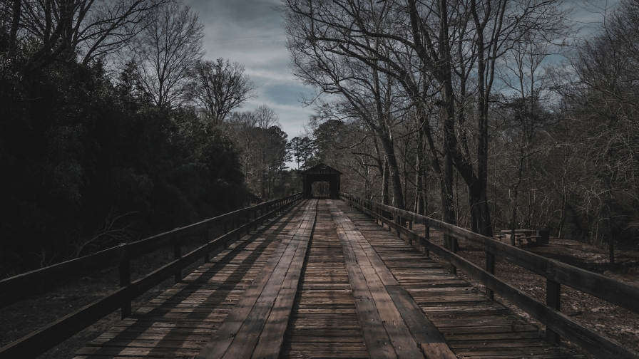 Old Woody Bridge and House