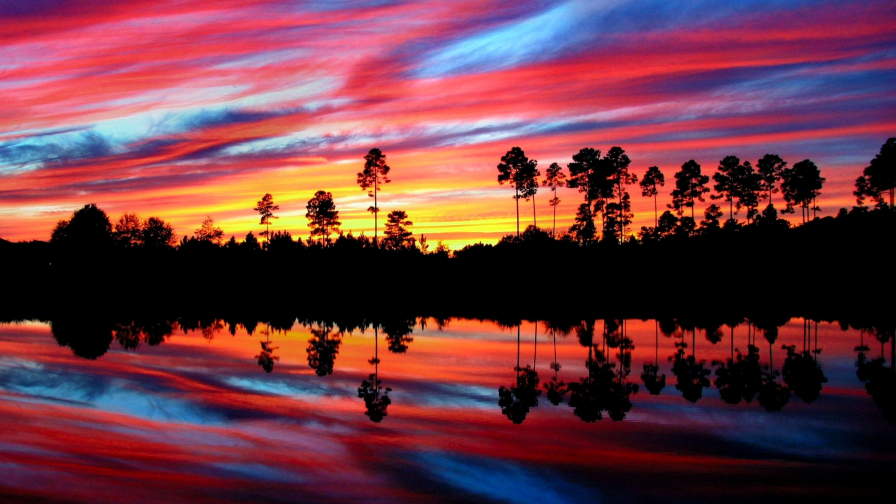 Orange and Blue Sunset and Forest