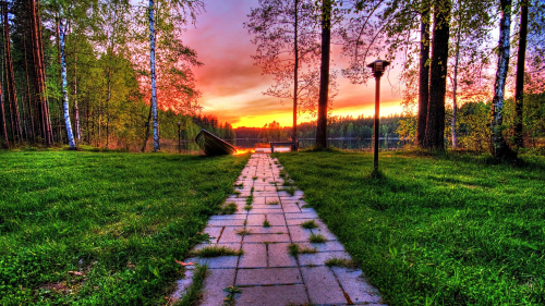 Path in Beautiful Green Garden