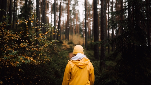 Person in Yellow Hoodie Standing in Forest