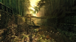 Post Apocalyptic Jungle and River