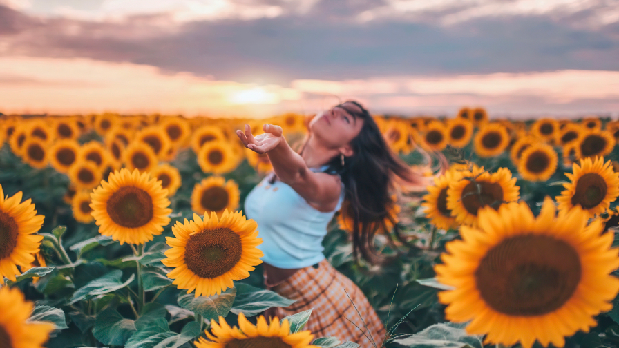 Pretty Young Girl in Sunflowers