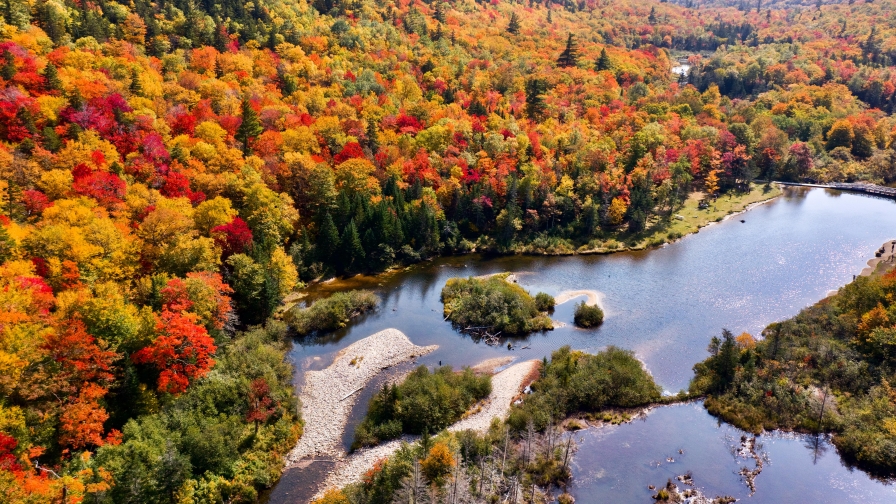 River and Autumn Forest