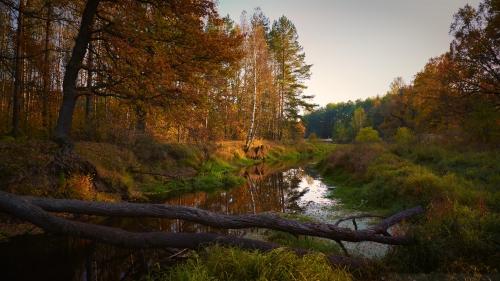 River and Autumn Trees Around