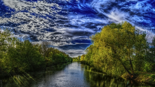 River and Green Forest