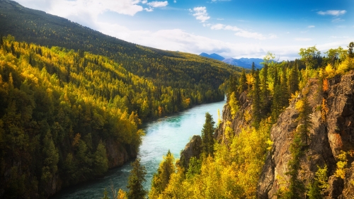 River and Rocks in Autumn Forest Valley