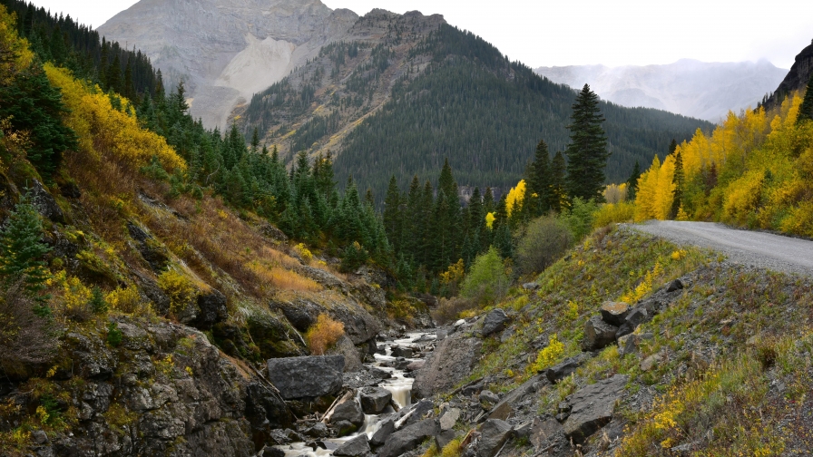 River and Slope Trees in Mountain Valley