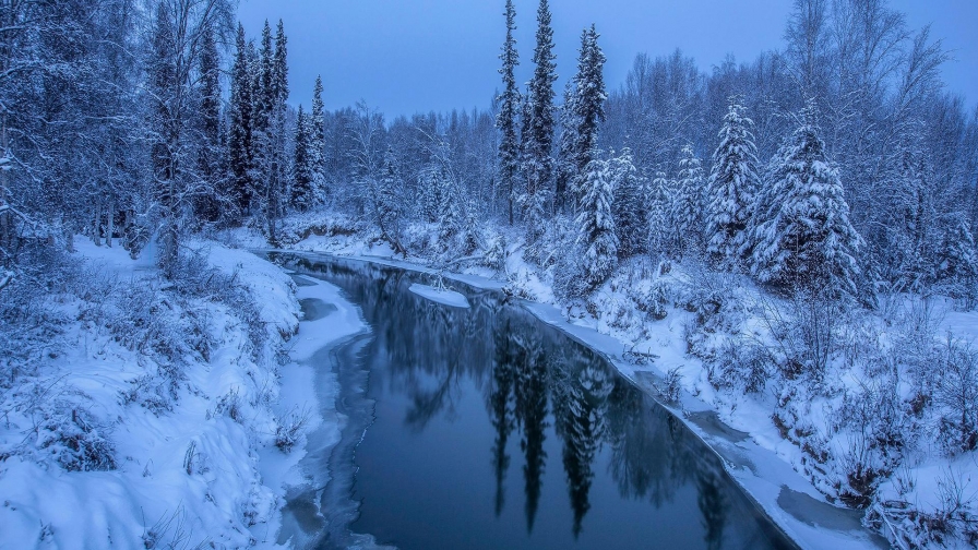 River Between Snow Covered Pine Trees