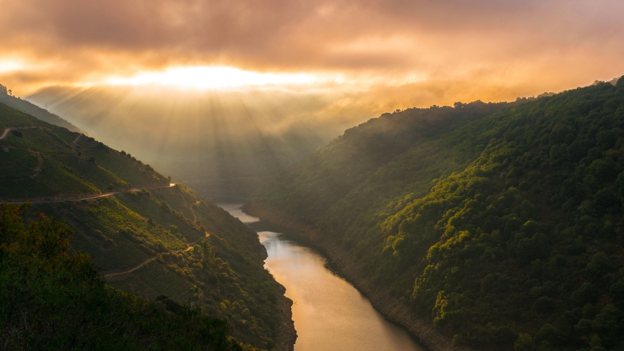 River in Mountain Forest