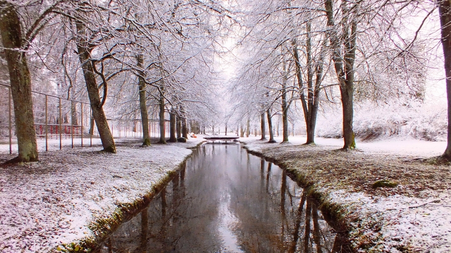 River in Snowed Winter Garden