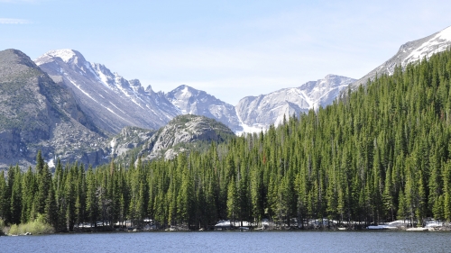 River with Waves Pine Forest and Mountains Peaks