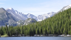 River with Waves Pine Forest and Mountains Peaks