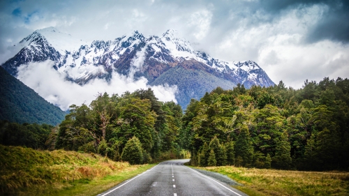 Road and Forest in Mountain Valley