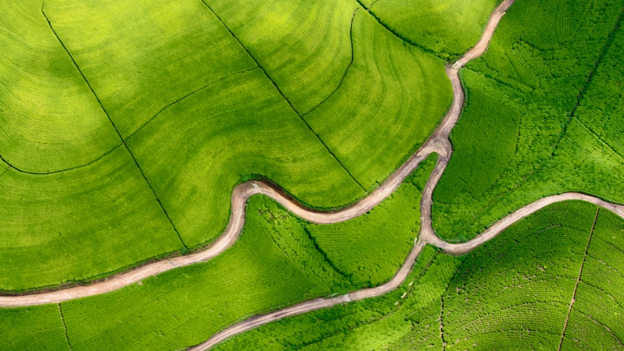 Road in Beautiful Green Field