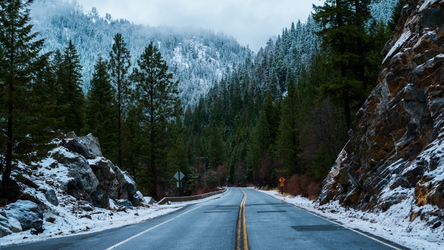 Road in Snow Covered Forest and Mountain