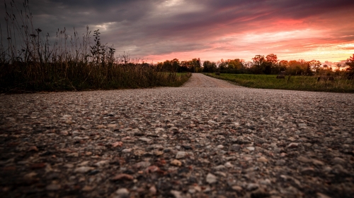 Road in Sunset