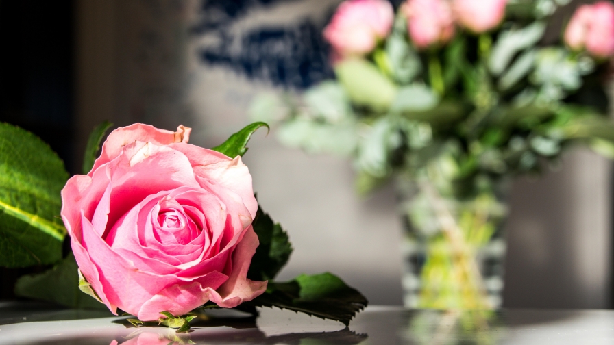 Rose Petals on Table