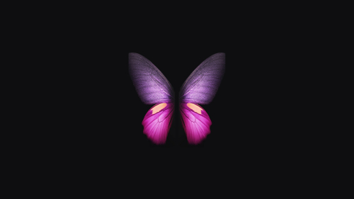 Samsung Galaxy Fold Pink Butterfly