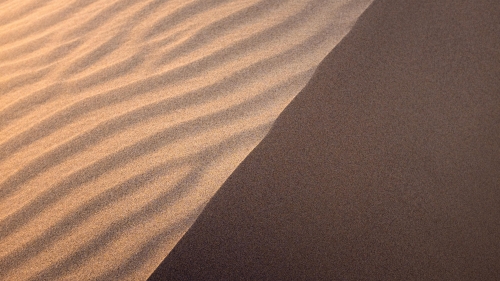 Sand on Dune in Desert