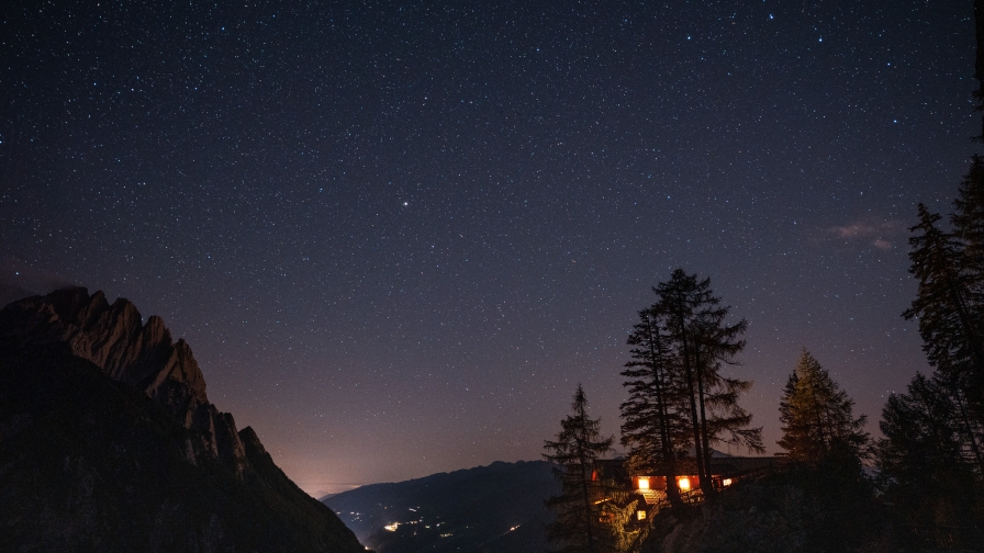 Silhouette of Trees in Forest and Starry Sky