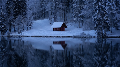 Snow Covered Fir Forest and Single House on Shore of Lake